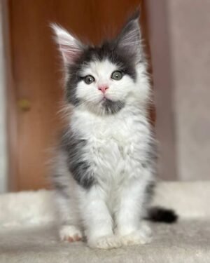 photo_2026-01-15_01-58-44 Jasper